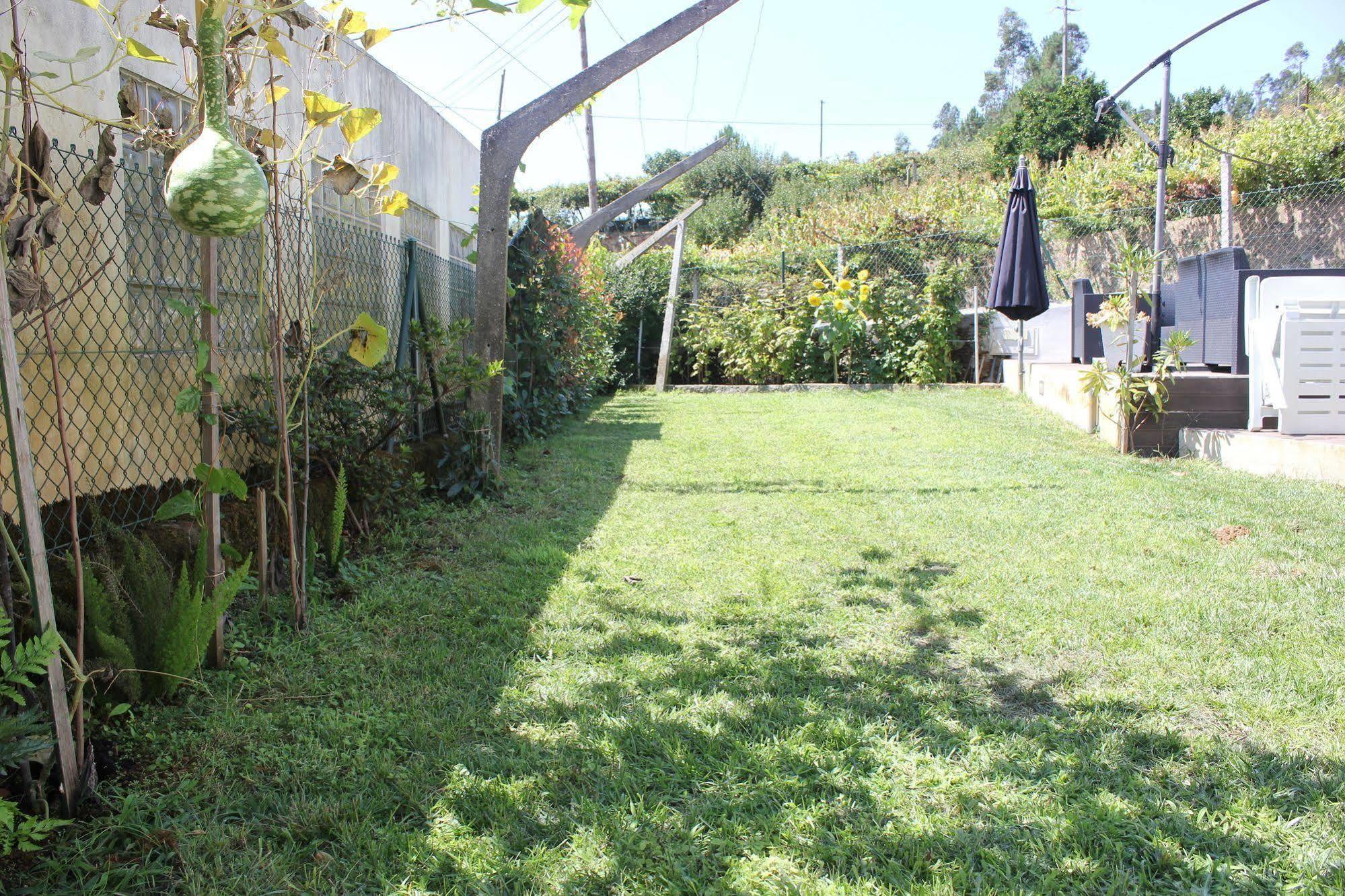 Villa Casa Do Porto Carreiro Oliveira de Azeméis Esterno foto