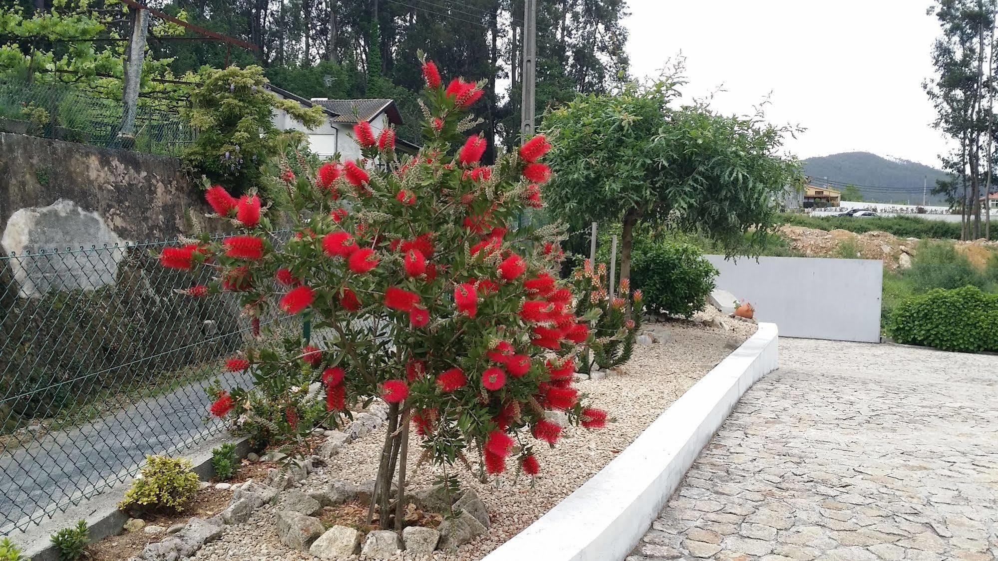 Villa Casa Do Porto Carreiro Oliveira de Azeméis Esterno foto