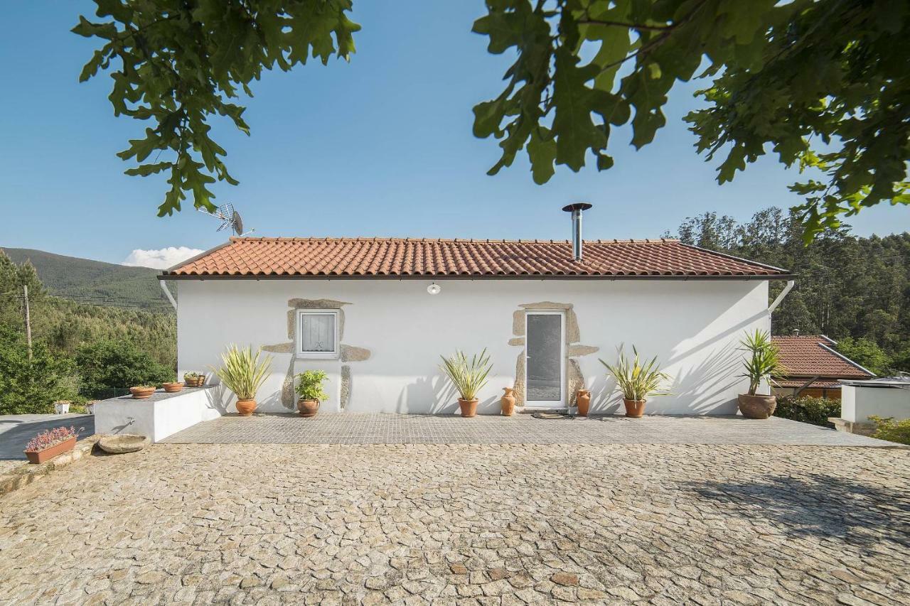 Villa Casa Do Porto Carreiro Oliveira de Azeméis Esterno foto