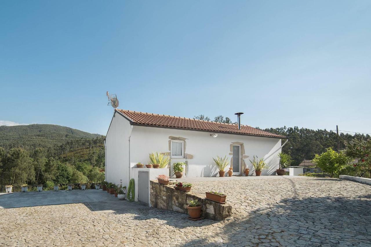 Villa Casa Do Porto Carreiro Oliveira de Azeméis Esterno foto