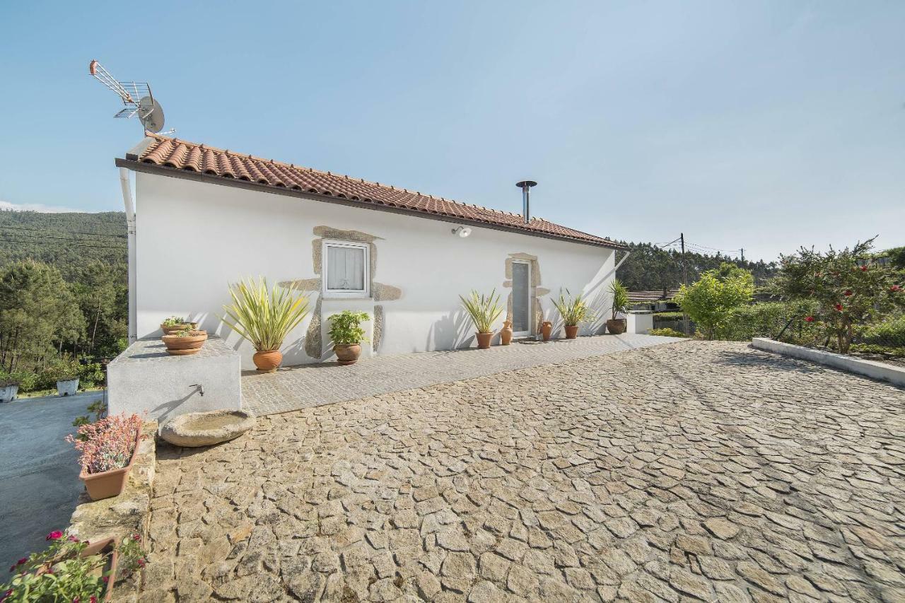Villa Casa Do Porto Carreiro Oliveira de Azeméis Esterno foto